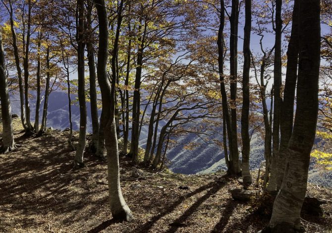 5 percorsi su Wikiloc per scoprire l'Italia dei colori autunnali