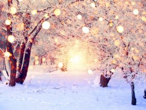 Dove vivere un natale particolare