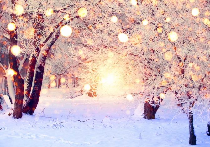 Dove vivere un natale particolare