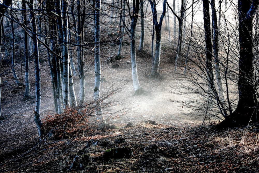 parco-5-vette-autunno