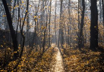 parco-monza-autunno-4
