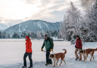 passeggiata-cani-martigni