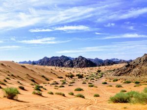Arabia Saudita: l'ultima frontiera da esplorare? Guida al viaggio avventura per questo inverno