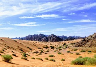 Arabia Saudita: l'ultima frontiera da esplorare? Guida al viaggio avventura per questo inverno