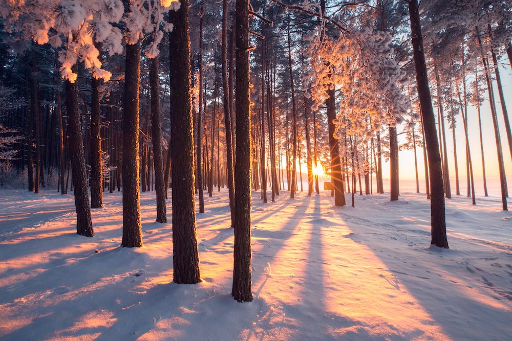 escursioni-appennino
