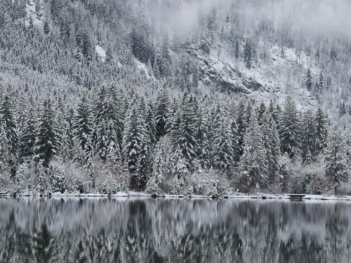 Hintersee, lago in Germania