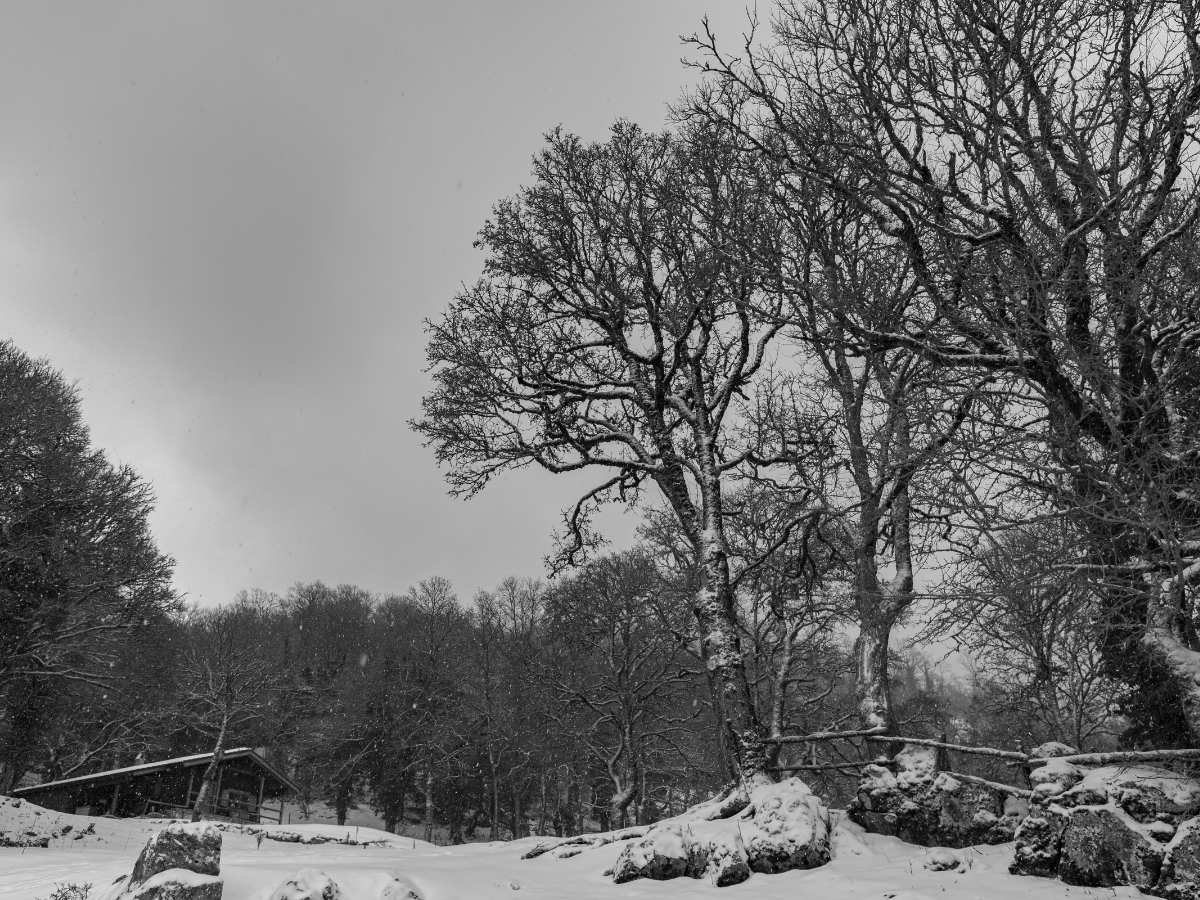 Paesaggi invernali del Molise