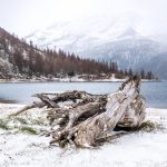 Pattinaggio Wild sui laghi alpini