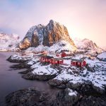 Reine