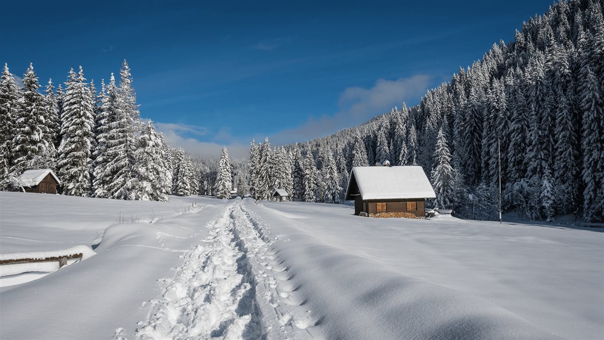 Ciaspole in Friuli Venezia Giulia: i 15 itinerari più belli (tra 3 confini)