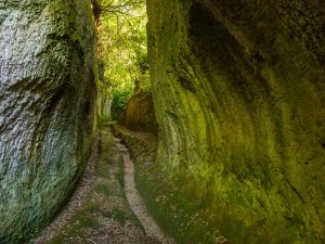 Vie Etrusche tra Lazio e Toscana