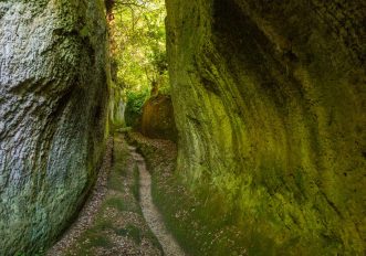 Vie Etrusche tra Lazio e Toscana