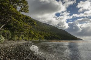 Cosa ci insegna il Parco nazionale di Capo Froward voluto dal fondatore di The North Face sui confini del capitalismo predatorio