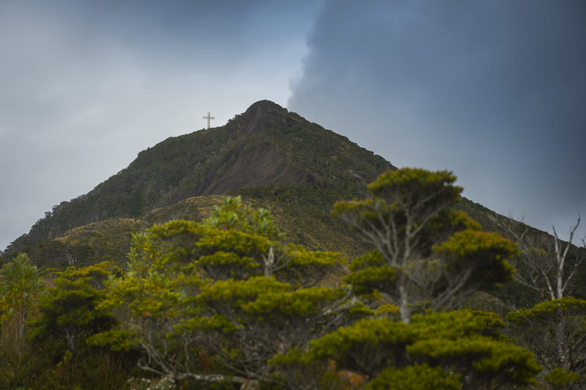 Cosa ci insegna il Parco nazionale di Capo Froward voluto dal fondatore di The North Face sui confini del capitalismo predatorio