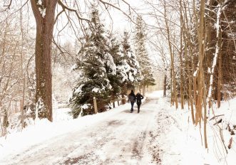 La regola matematica per camminare a Natale e smaltire i cenoni senza ammalarsi
