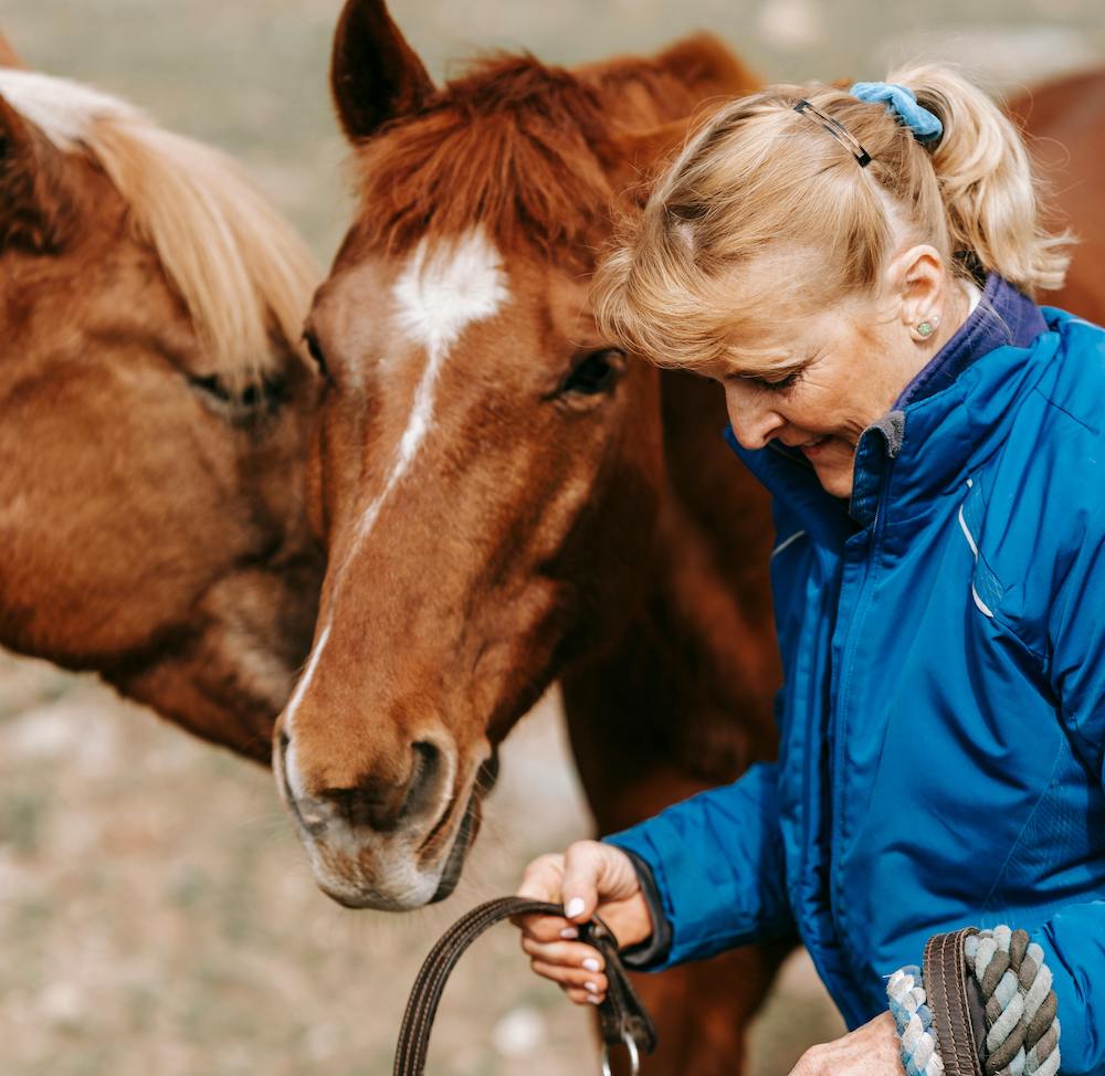 horsemanship-training