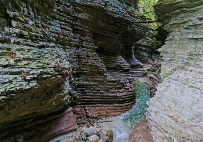 Brent de l’Art, Veneto