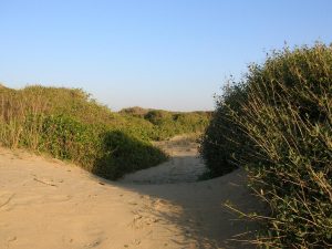 Deserto di Capocotta, Roma