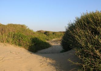 Deserto di Capocotta, Roma