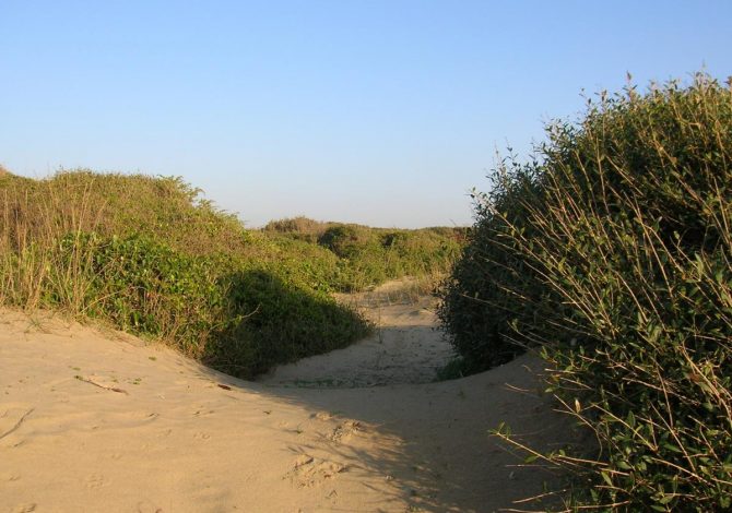 Deserto di Capocotta, Roma