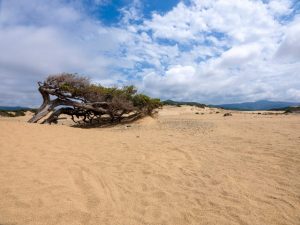 Dune di Piscinas, Sardegna