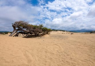 Dune di Piscinas, Sardegna