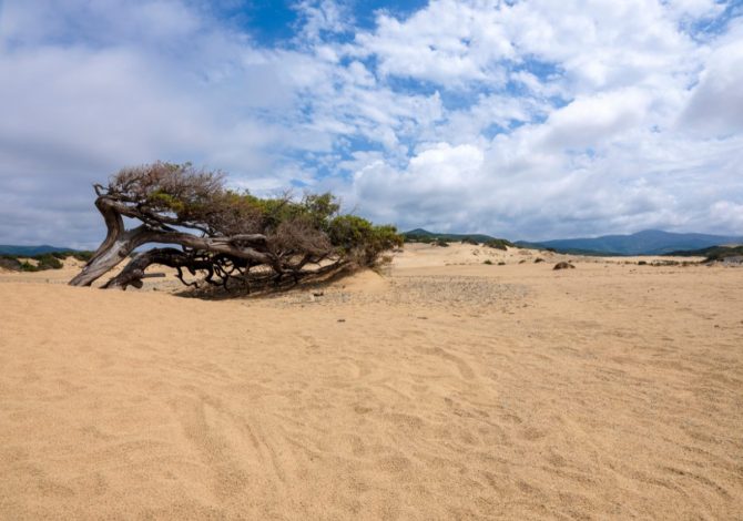 Dune di Piscinas, Sardegna