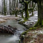 Foresta di Otzarreta