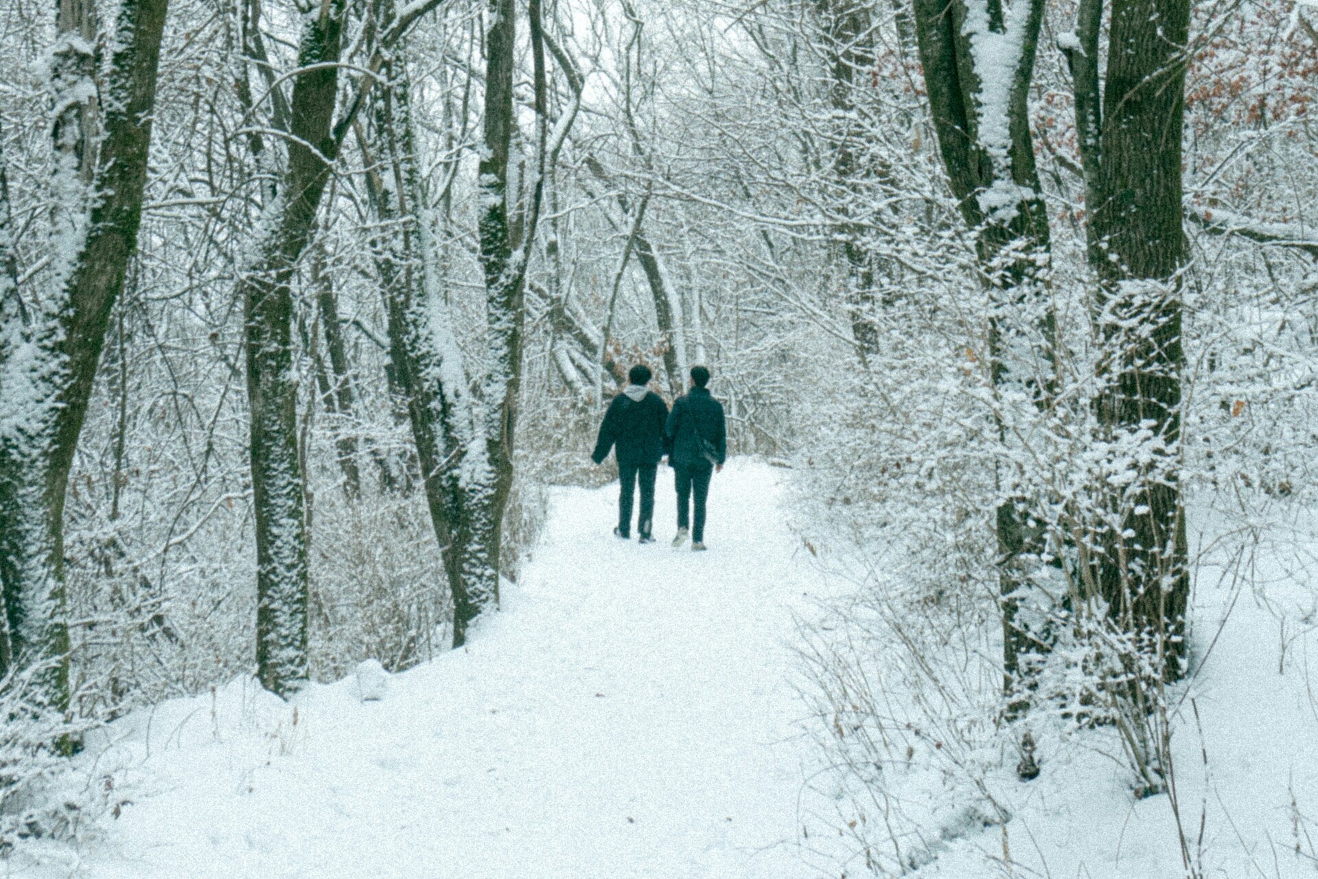 Camminata a febbraio