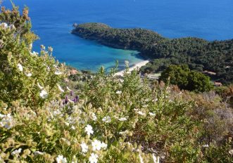 via-essenza-elba-escursioni-2026