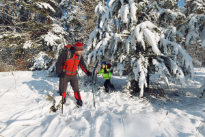 forest-bathing-vallunga-dolomiti
