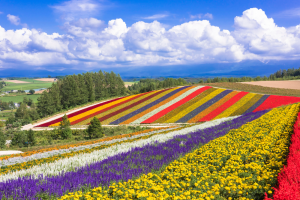 dove-andare-estate-2026-mete-alternative-outdoor