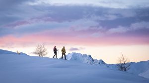 Valtellina-.camminate-detox-inverno