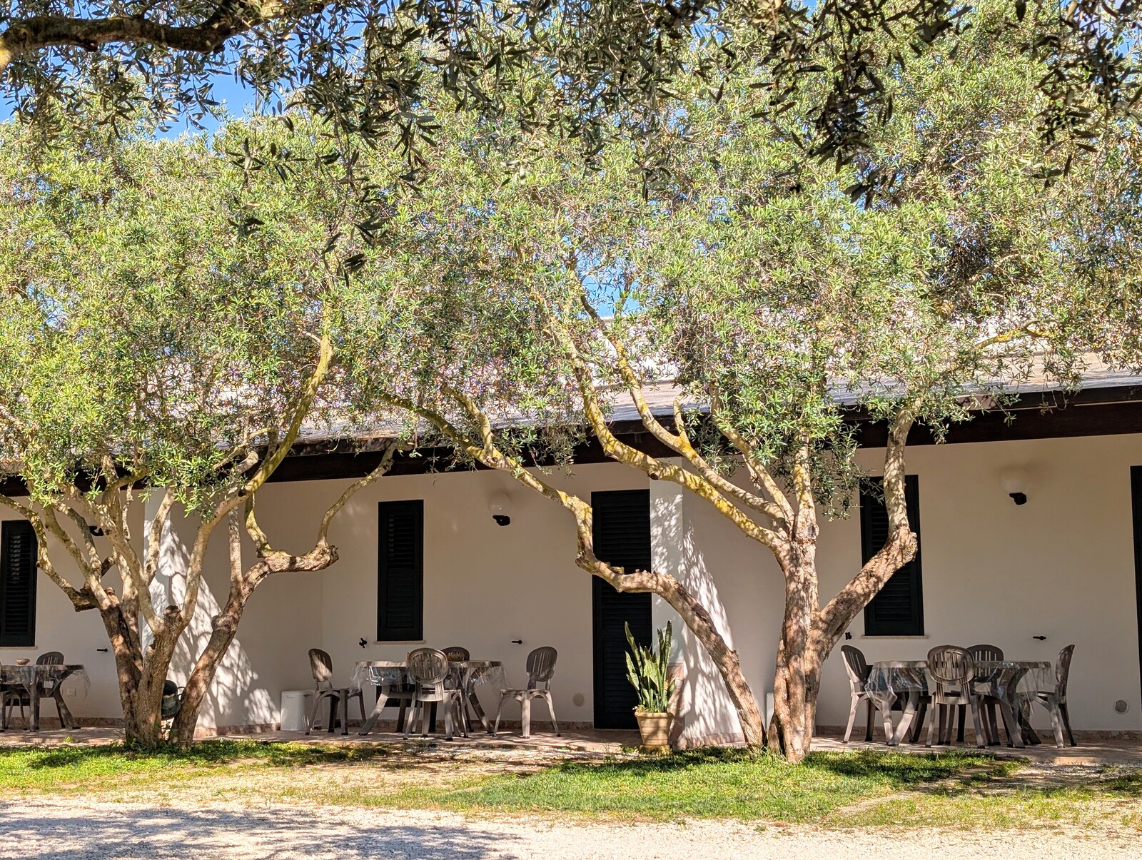 San Valentino open air