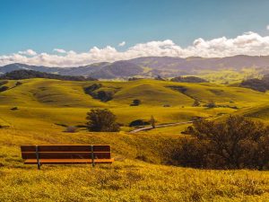 Contea di Sonoma, California