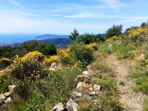 sentieri-liguria-ponente-febbraio