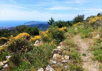 sentieri-liguria-ponente-febbraio