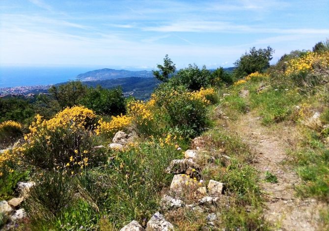 sentieri-liguria-ponente-febbraio