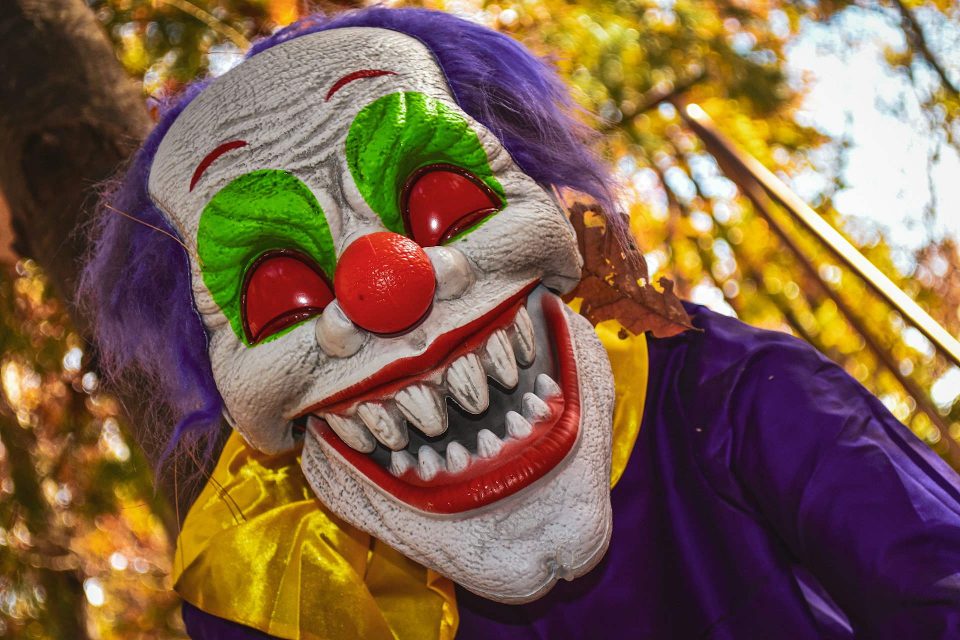 Scherzi di Carnevale