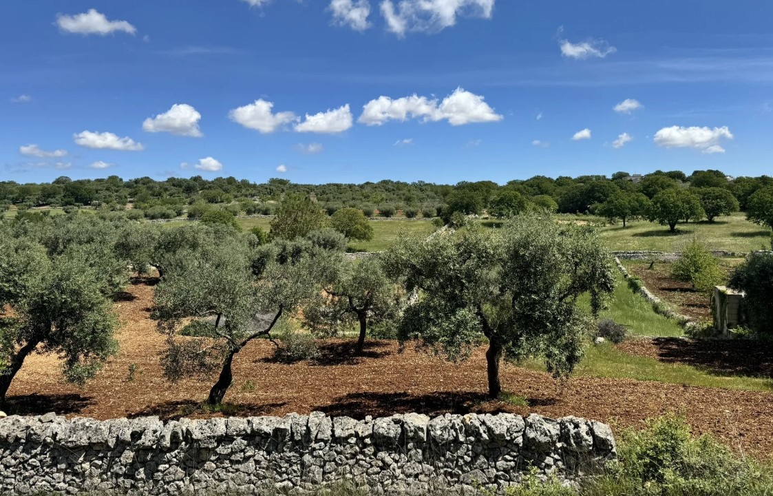 escursioni suggestive (e poco affollate) da scoprire in Primavera