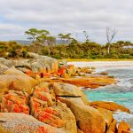 Bay of Fires