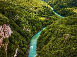 Canyon di Tara, Montenegro