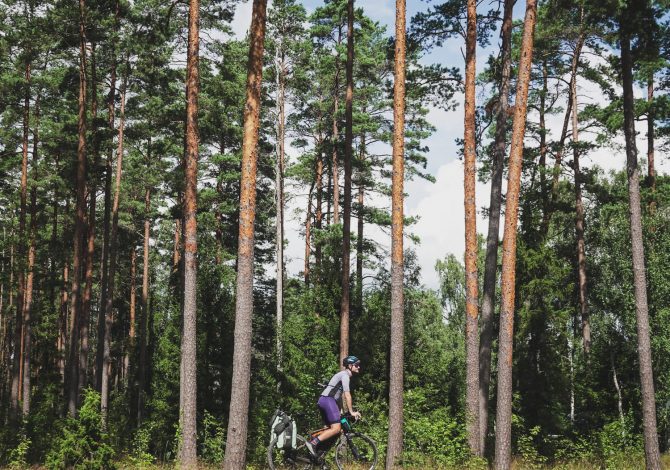 Estonia Coastal Route