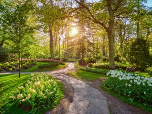 Giardini Keukenhof, Paesi Bassi