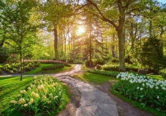 Giardini Keukenhof, Paesi Bassi