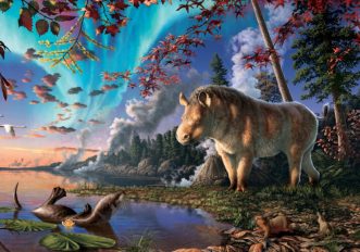 rinoceronte-artico-Illustration-Devon-Rhino-canadian-museum-of-nature