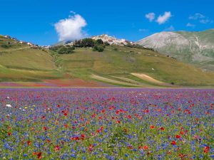 I luoghi naturali più colorati d'Italia