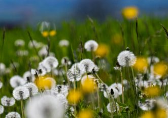 Allergie primaverili e sport