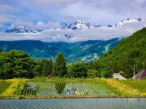 Vivere tra le Alpi Giapponesi