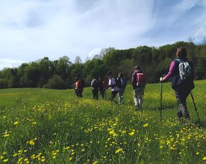 valli-parma-Boschi-Carrega-trekking